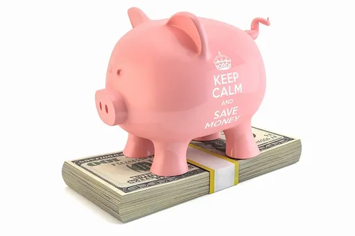cash and a piggy bank to show cash advance for plaintiffs